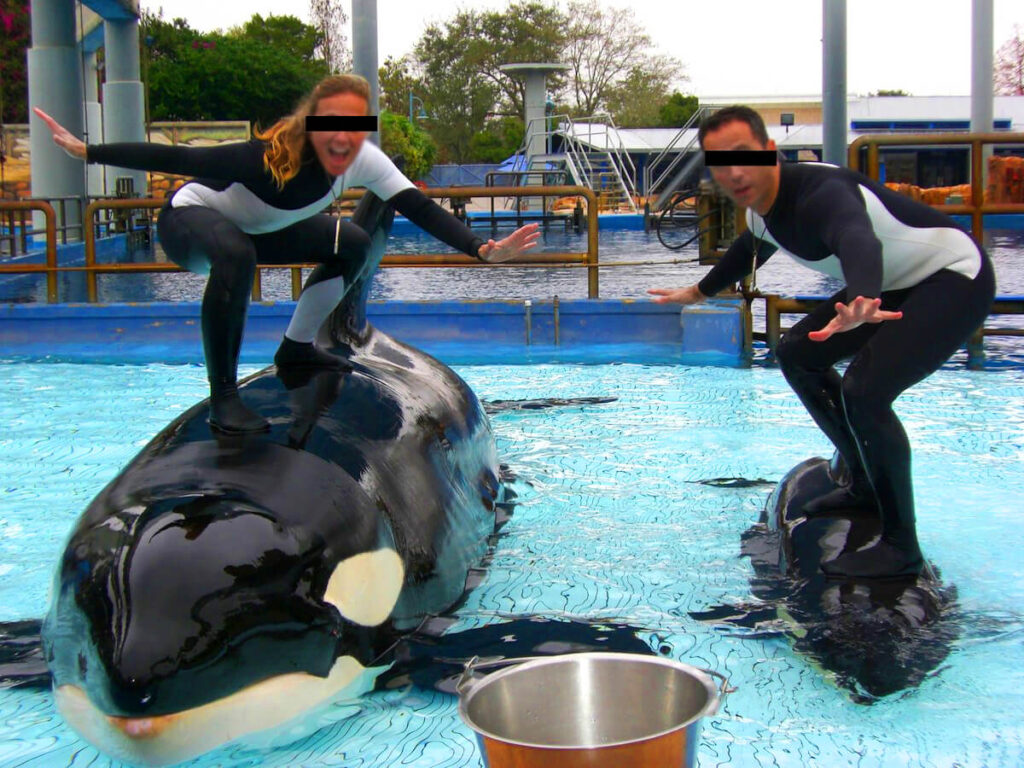 Help Lolita and All her Friends Find the Freedom they Deserve