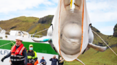 Bella the Beluga – Put an end to Her Solitary Confinement Today!
