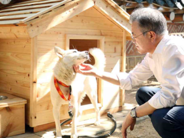 Finally: The Dog Meat Ban is on the Cards! Sign now to make it happen!